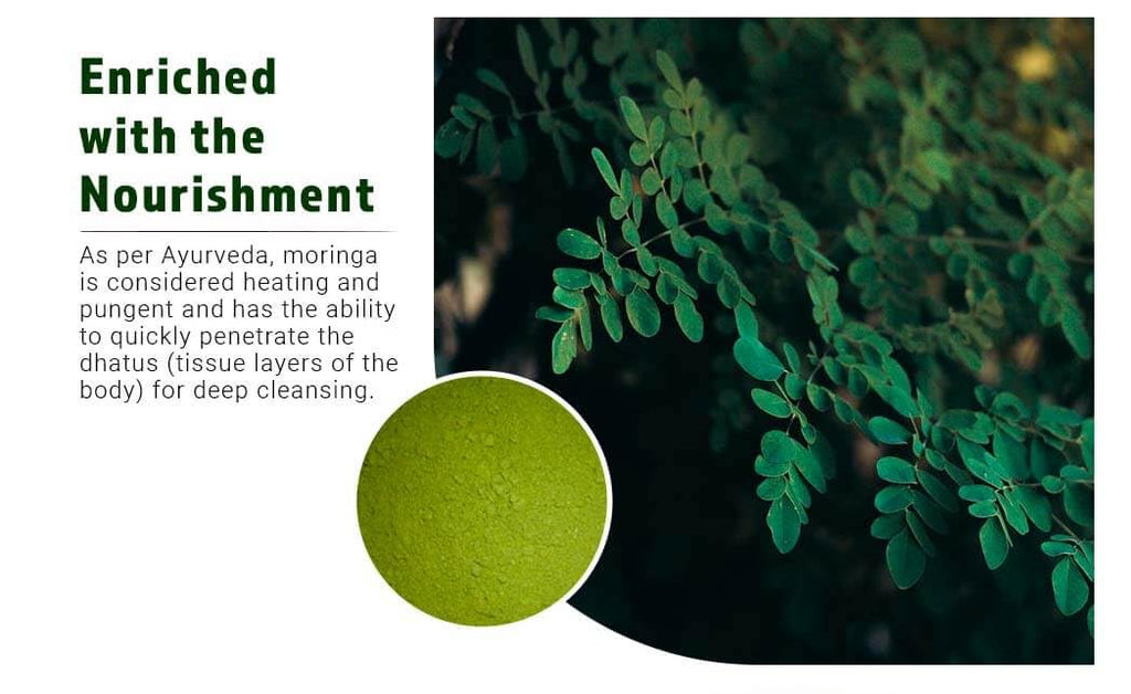 Moringa Leaf Powder Capsules 300 Pills V30695