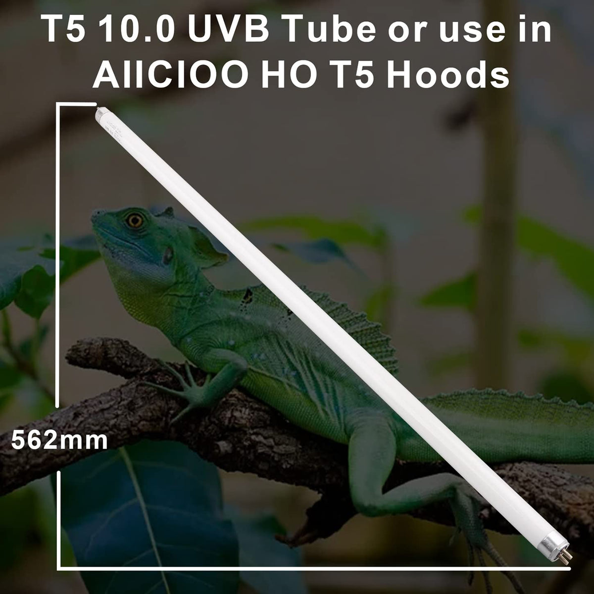T5 HO 10.0 UVB Fluorescent Lamp 22" 24W E879