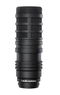 Large-Diaphragm Broadcast Microphone D637664