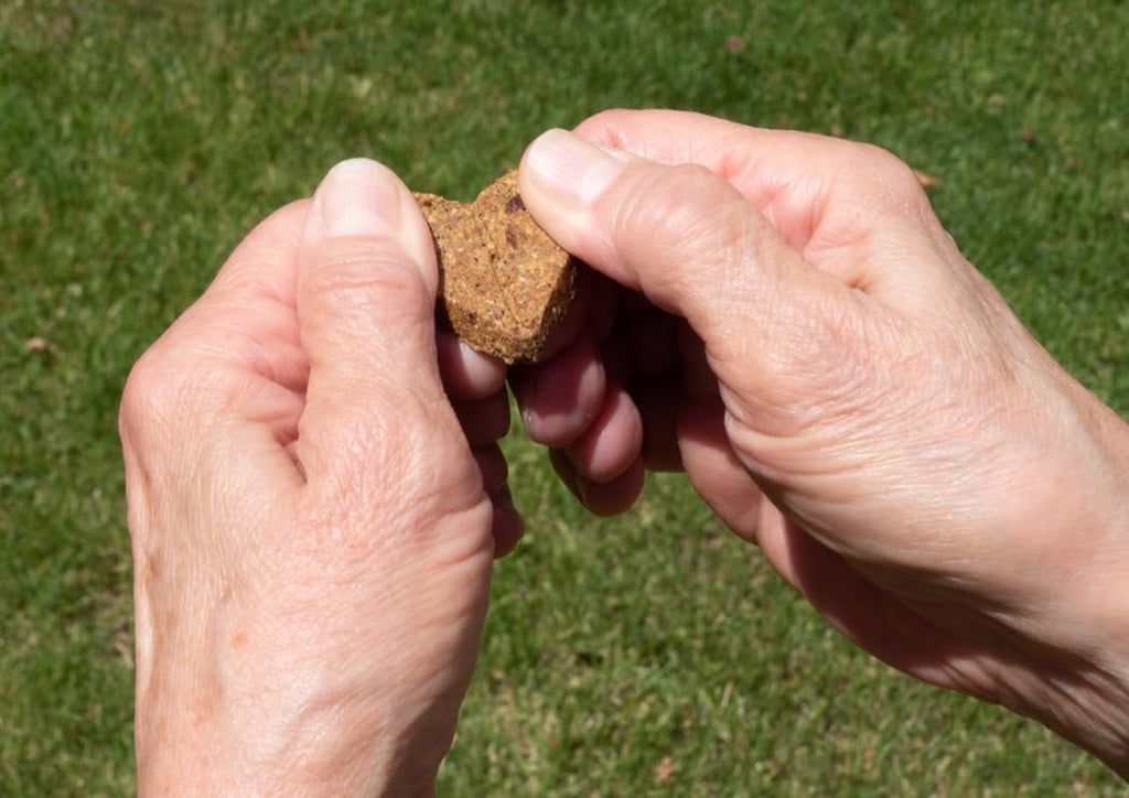 Roasted Duck Grain Free Dog Treats 2-Pack 36oz M839