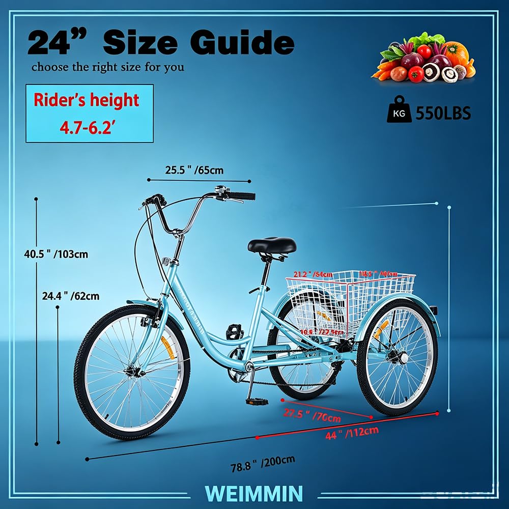 24 Inch 7 Speed Adult Tricycle with Rear Basket N4299