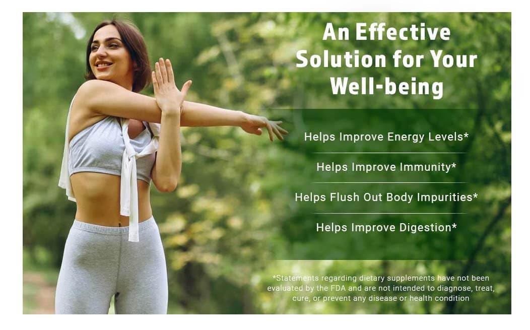Moringa Leaf Powder Capsules 300 Pills V30695