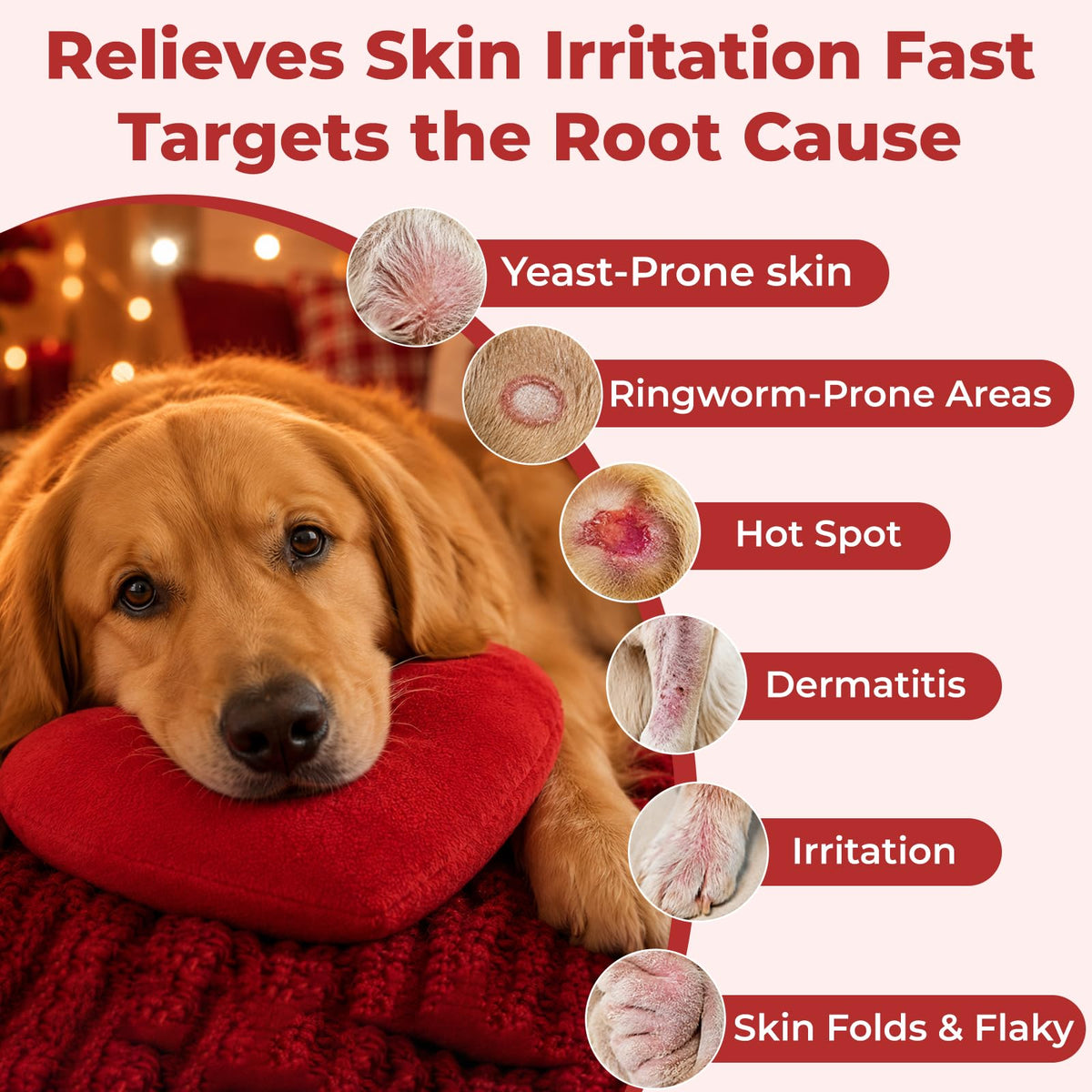 Dog Yeast Infection Treatment 4.23oz X826240