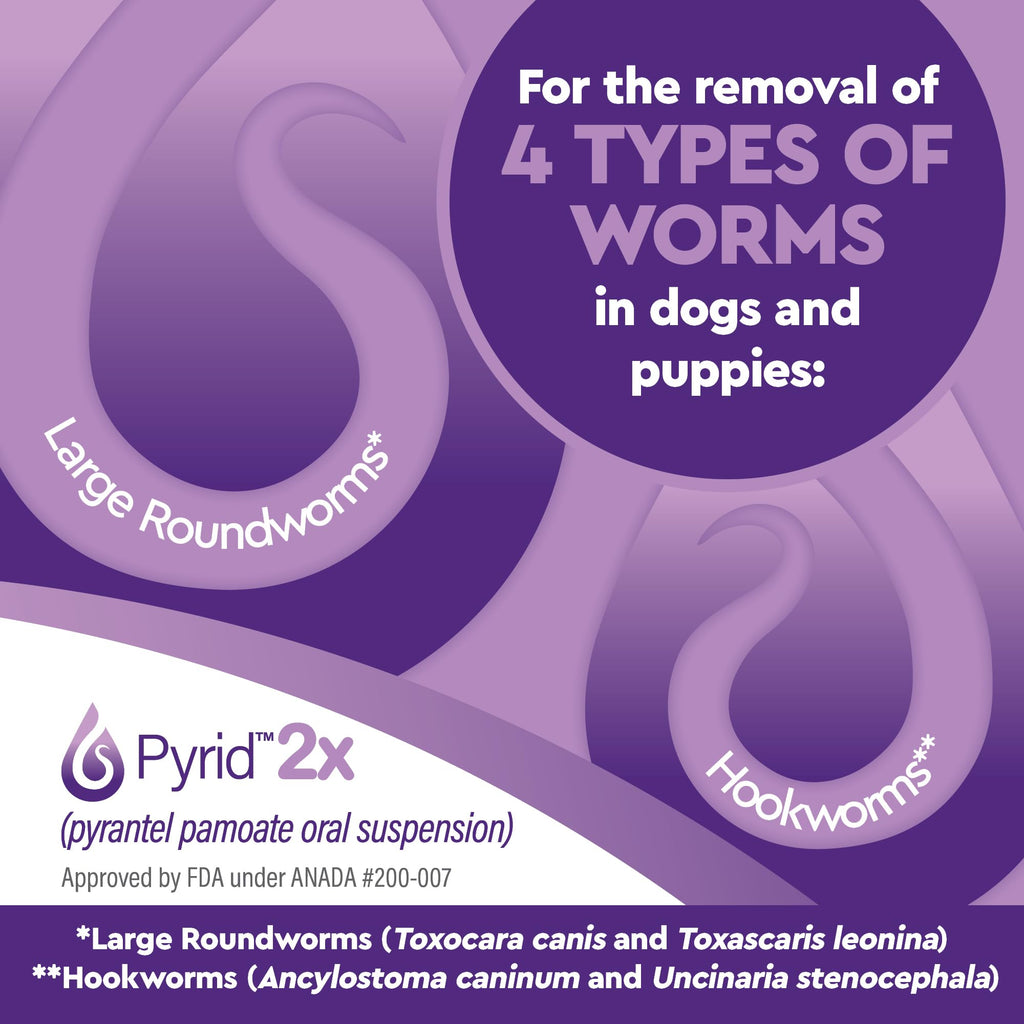 Pyrantel Pamoate Dog Dewormer 16 oz J111