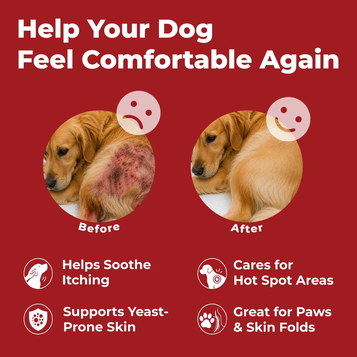 Dog Yeast Infection Treatment 4.23oz X826240