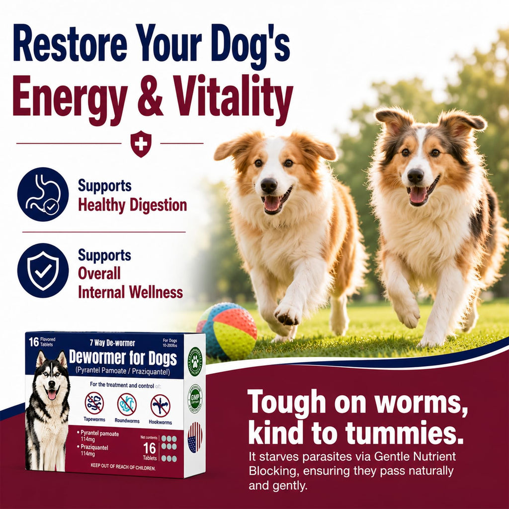 Dewormer for Dogs with Praziquantel & Pyrantel Pamoate, 16 Tablets V65701
