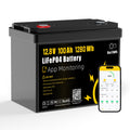 12V 100Ah LiFePO4 Lithium Battery H5900
