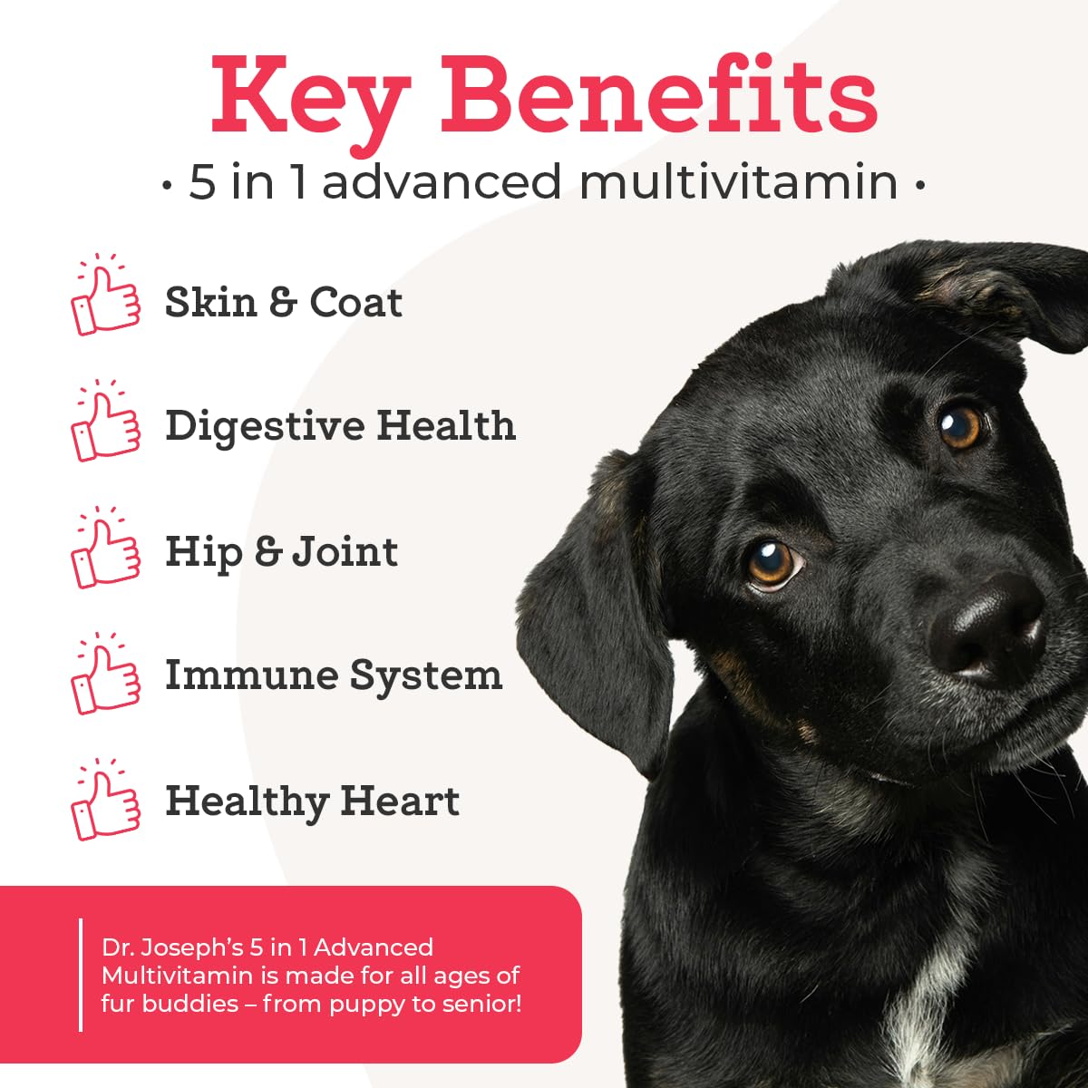 120 Count Dog Multivitamin Chew P45194