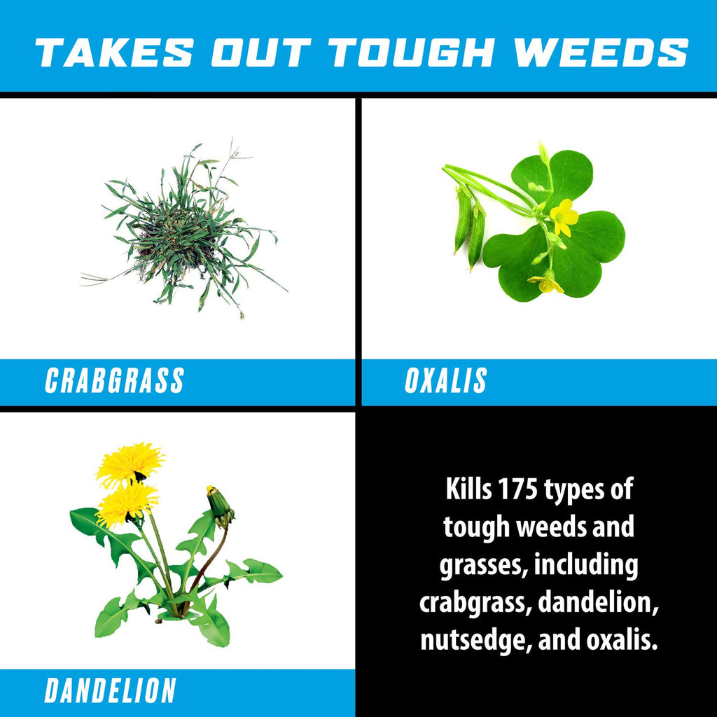 Weed & Grass Killer Refill 1 gal. U299