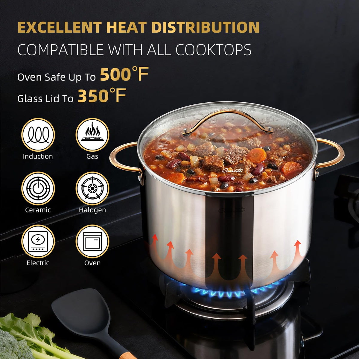 12 Quart Tri-Ply Stainless Steel Stock Pot with Lid S79914