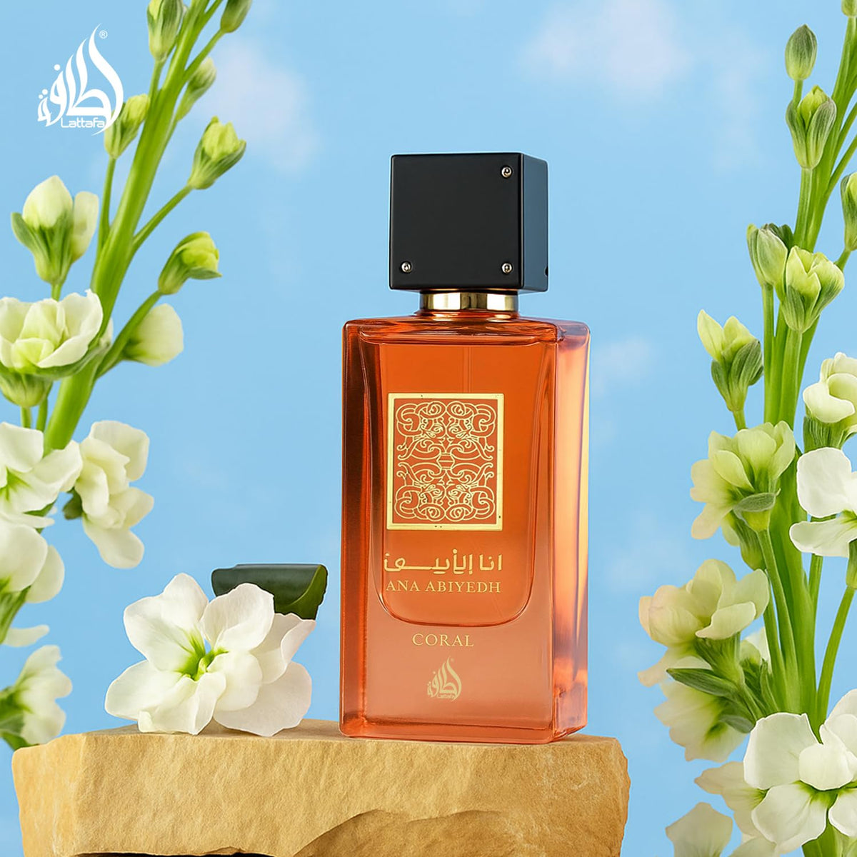 Eau de Parfum Spray 2.0 Ounce E470