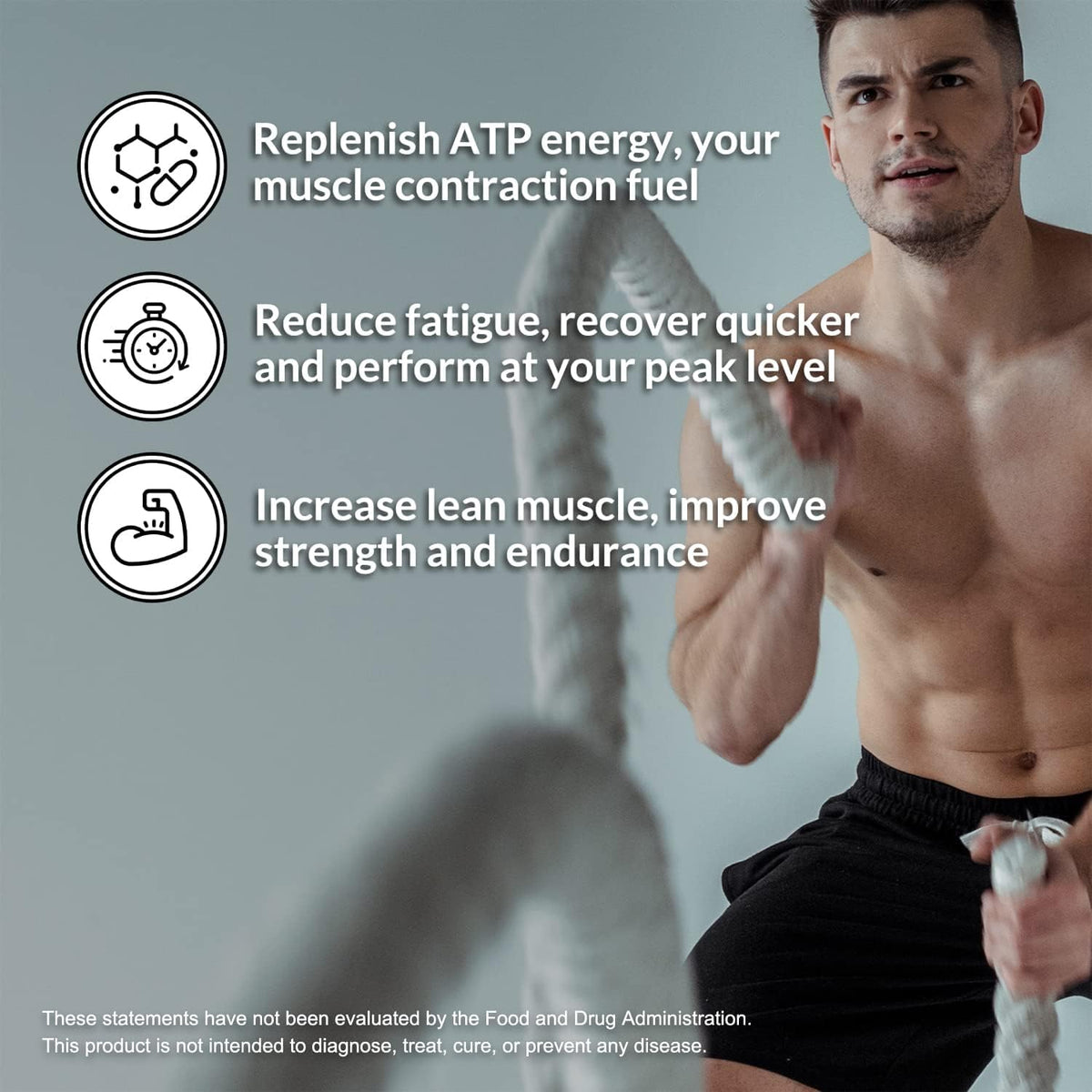 Pea Protein Isolate and Creatine Monohydrate Unflavored N306