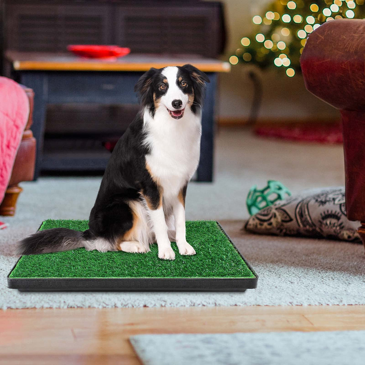 Large Dog Grass Pad with Tray and 2 Artificial Pee Grasses L360437