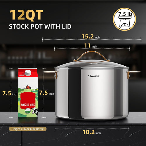 12 Quart Tri-Ply Stainless Steel Stock Pot with Lid S79914