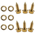 3/8 in x 1 in Self Tap Screw 6P P848488