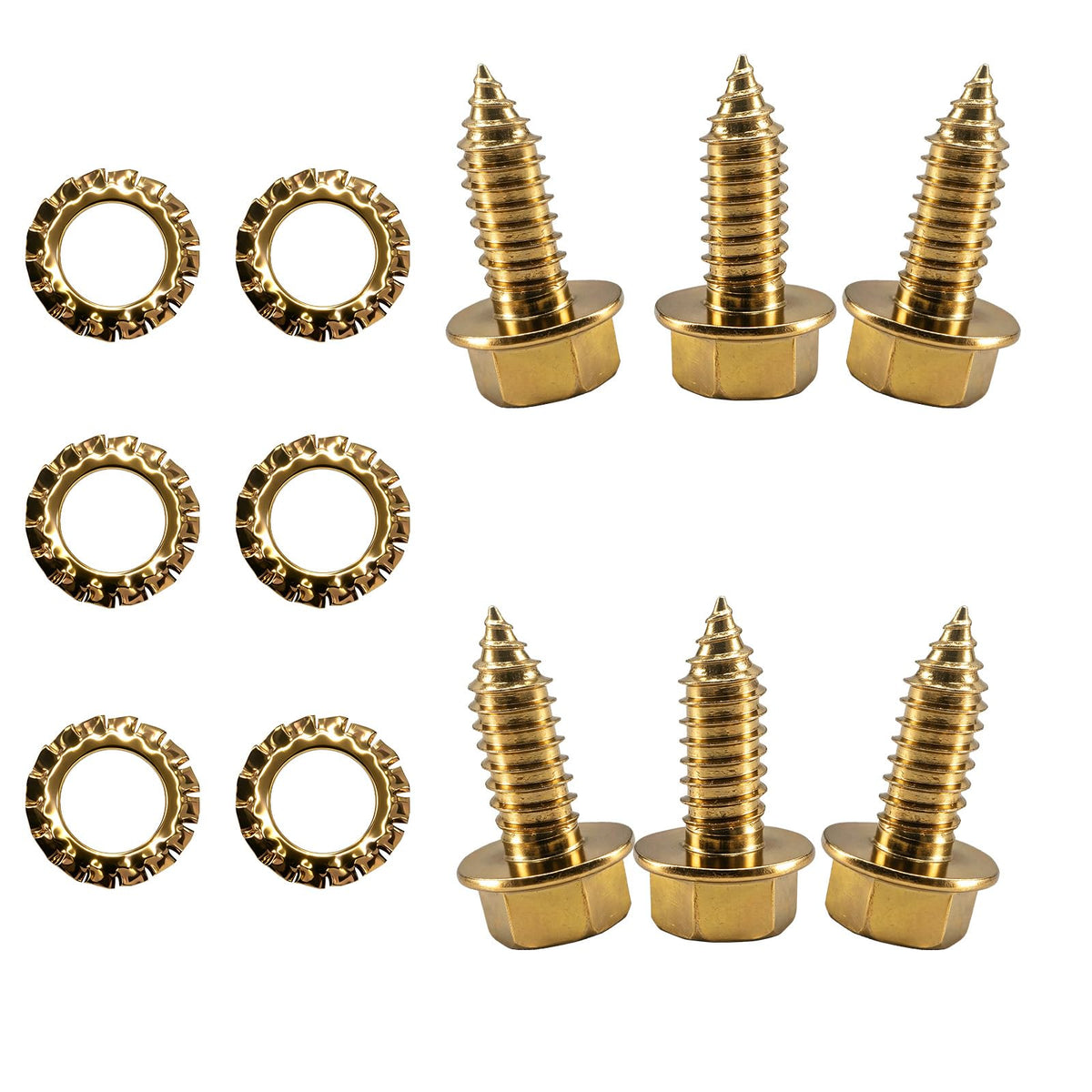 3/8 in x 1 in Self Tap Screw 6P P848488