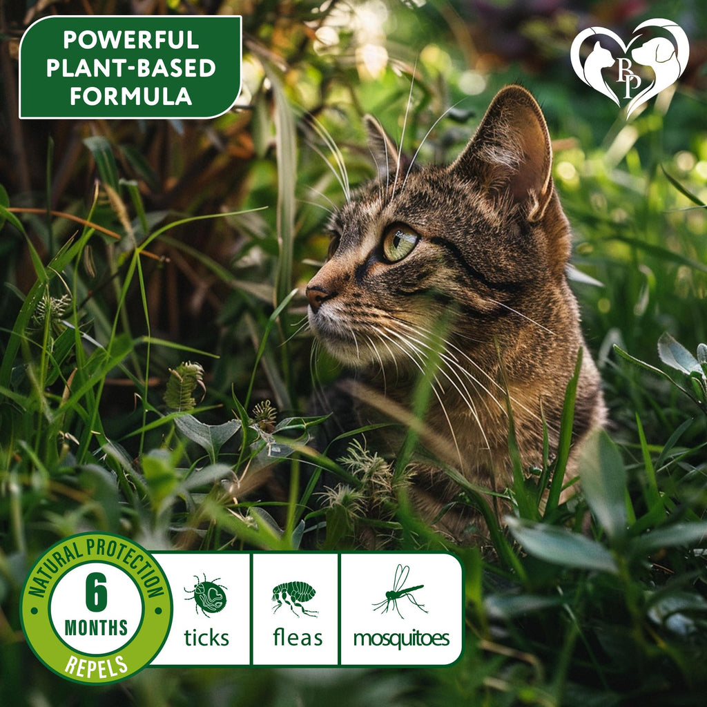 Natural Flea & Tick Collar for Cats 1 Pack R8926