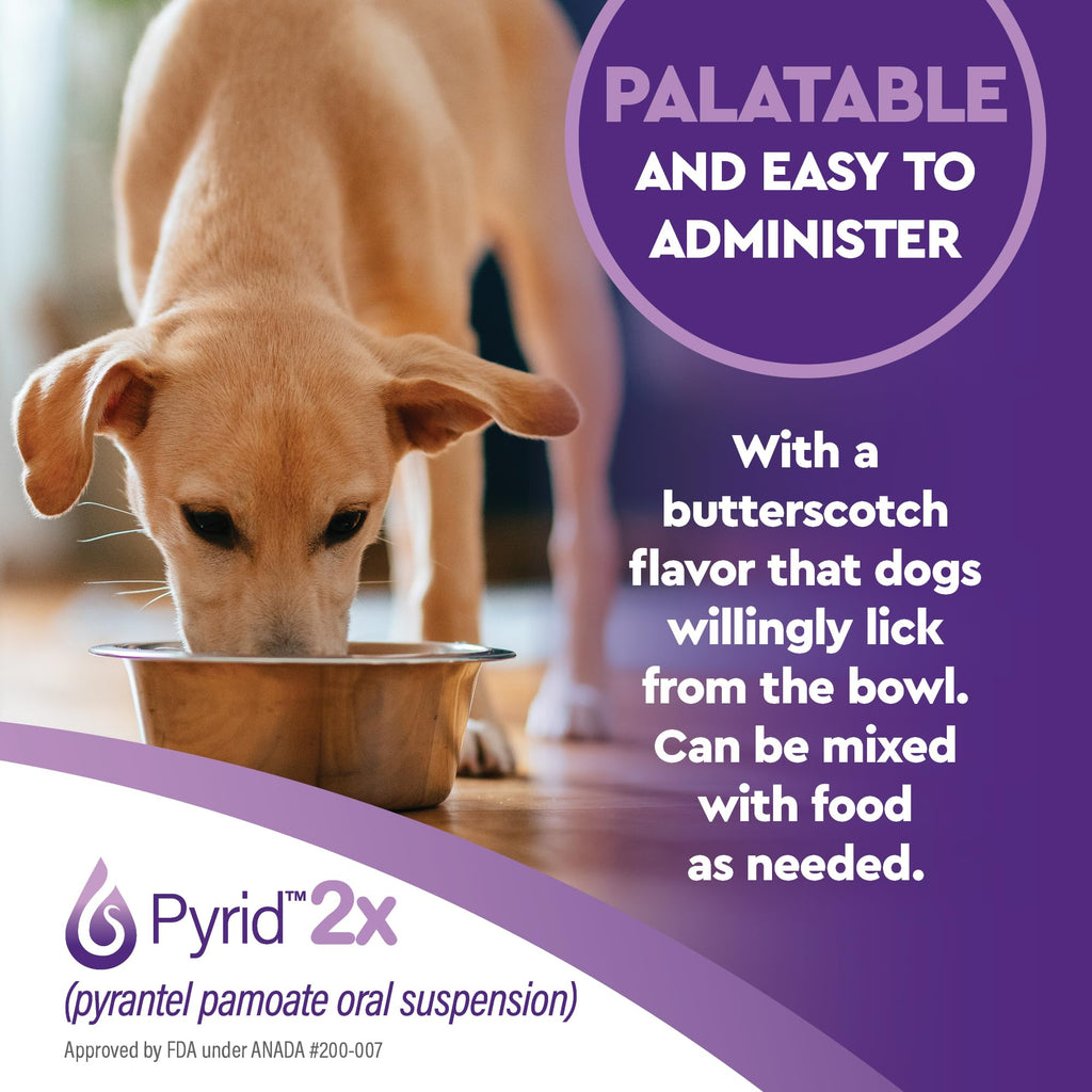 Pyrantel Pamoate Dog Dewormer 16 oz J111