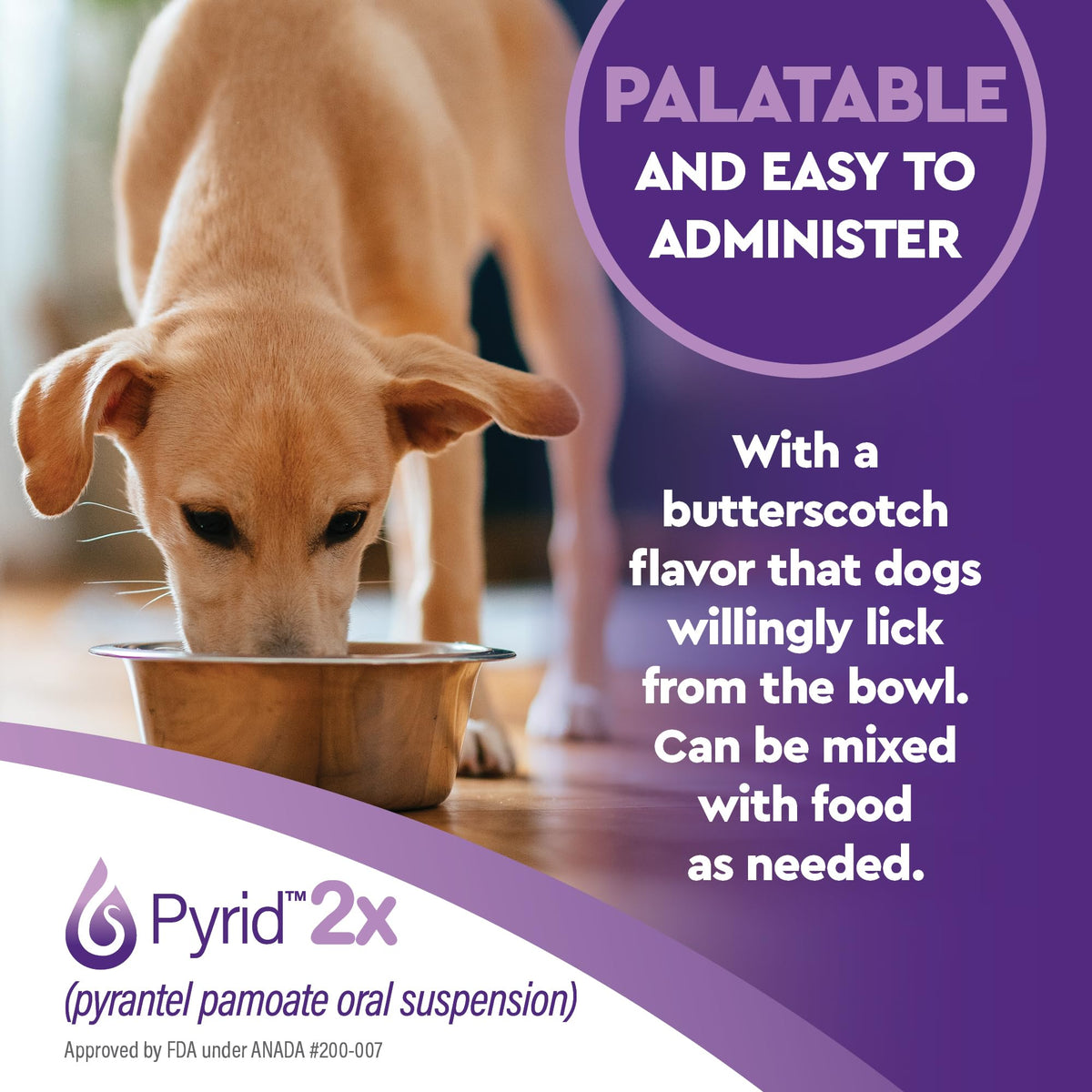Pyrantel Pamoate Dog Dewormer 16 oz J111