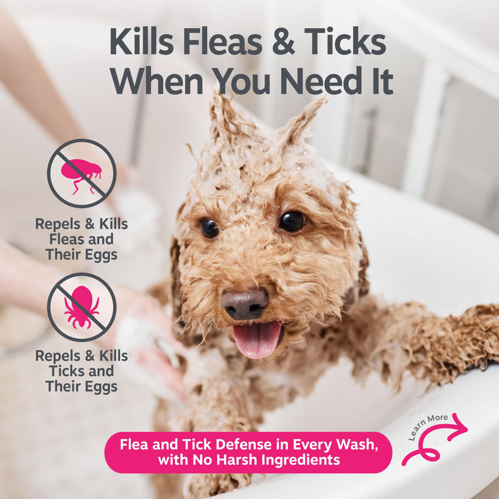 Flea and Tick Shampoo for Dogs 16oz Y35146