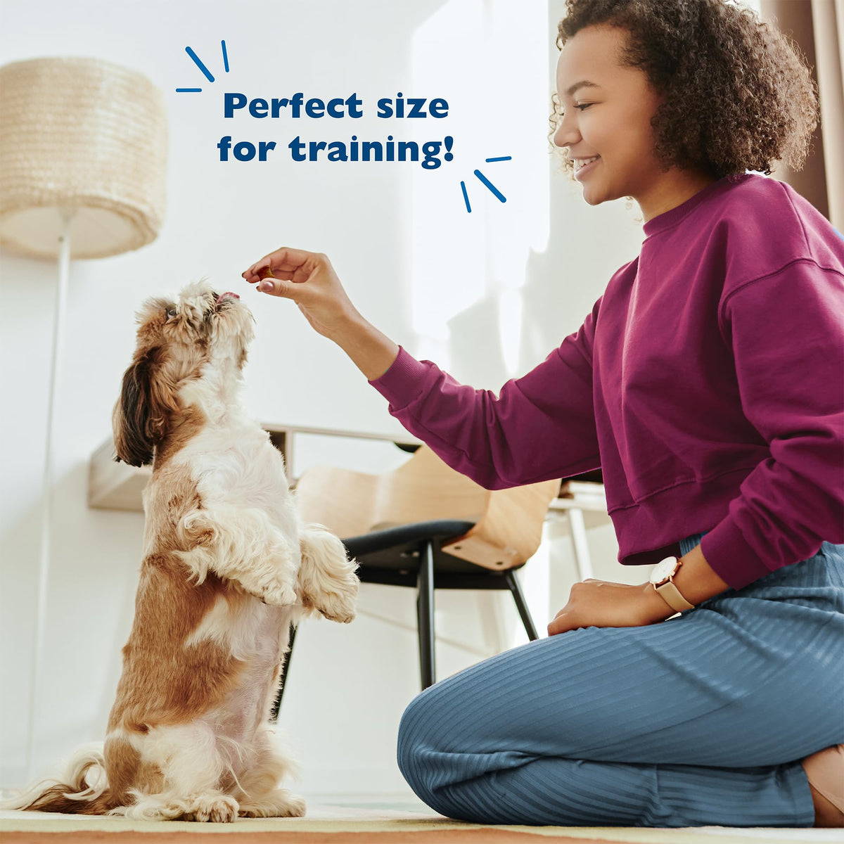 Chicken Liver Flavor Soft Training Dog Treats 20oz 3-Pack S788982