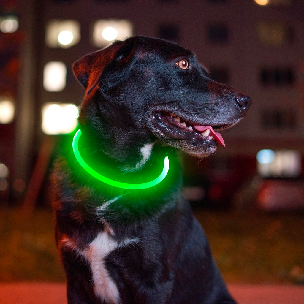 USB Rechargeable Led Dog Collar P2314
