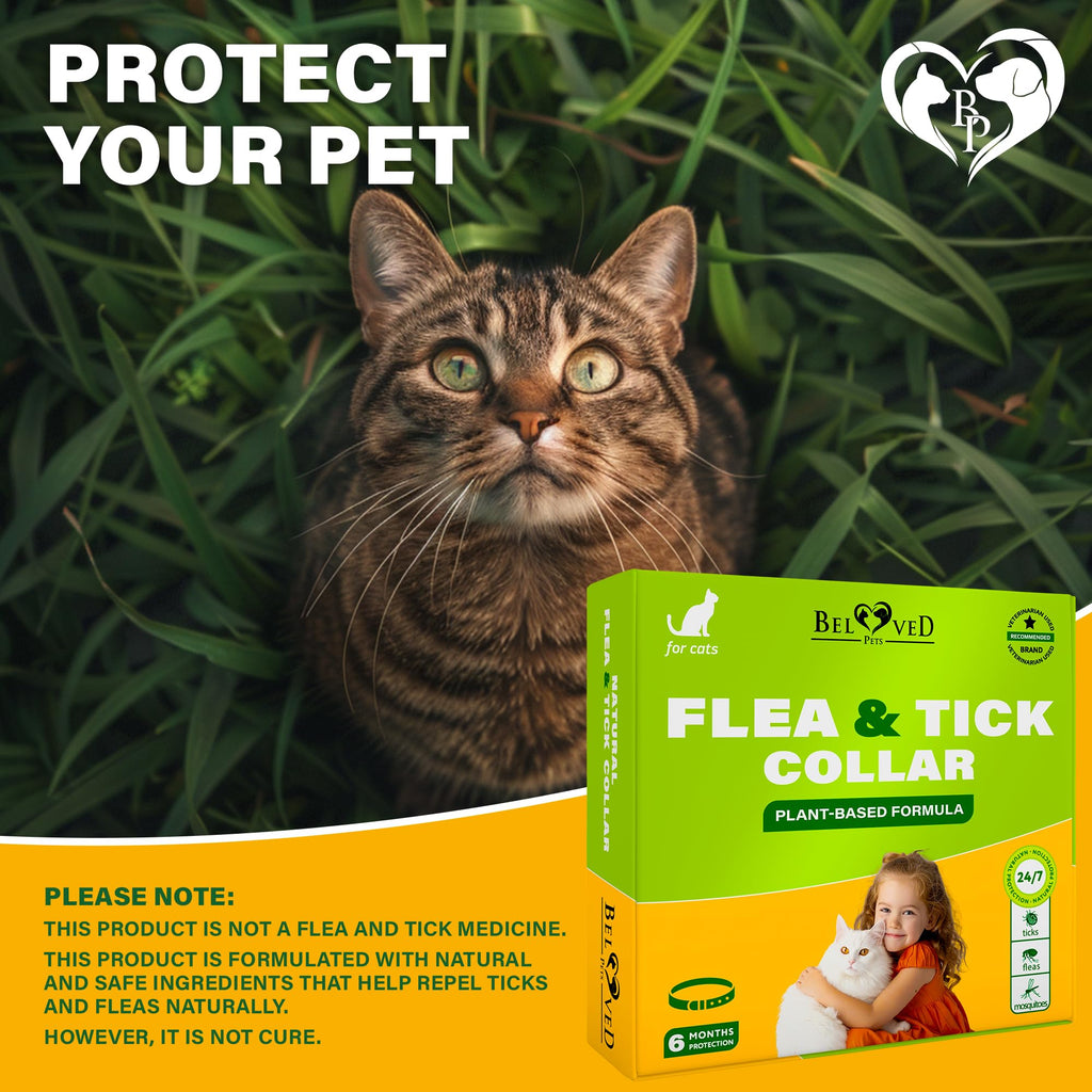 Natural Flea & Tick Collar for Cats 1 Pack R8926