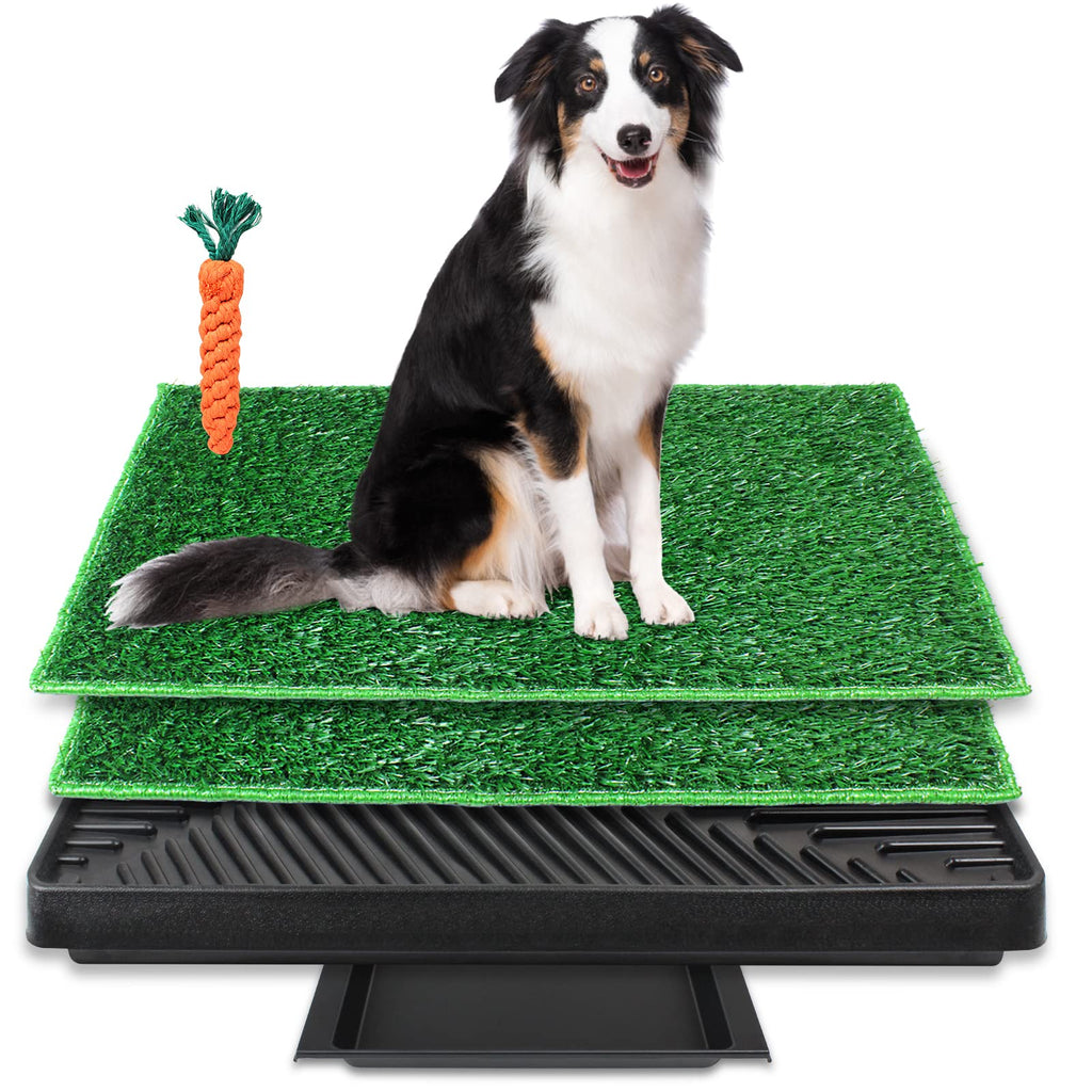Large Dog Grass Pad with Tray and 2 Artificial Pee Grasses L360437