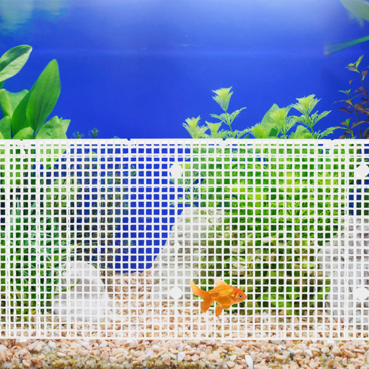 4pcs Cuttable Plastic Aquarium Tank Dividers with Suction Cups Y476406
