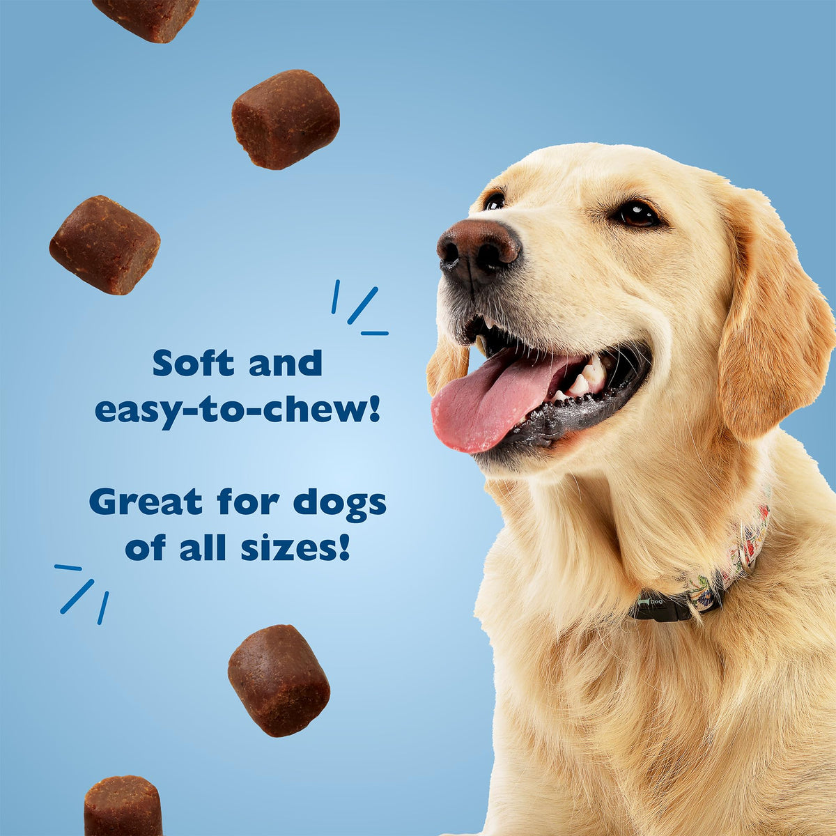 Chicken Liver Flavor Soft Training Dog Treats 20oz 3-Pack S788982