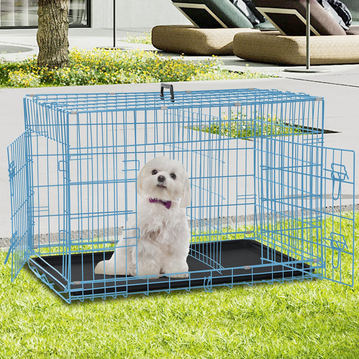 Folding Metal Dog Crate with Plastic Tray & Divider C749