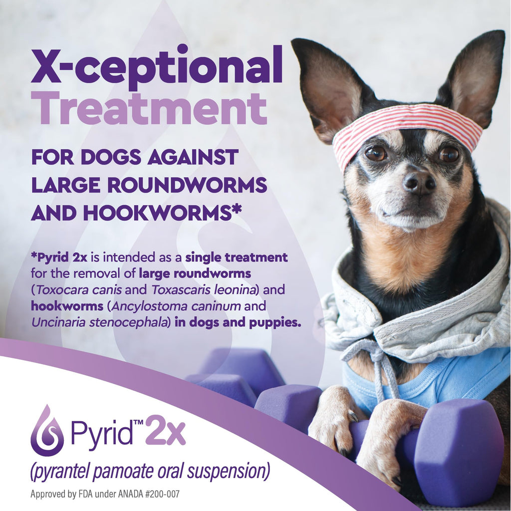 Pyrantel Pamoate Dog Dewormer 16 oz J111
