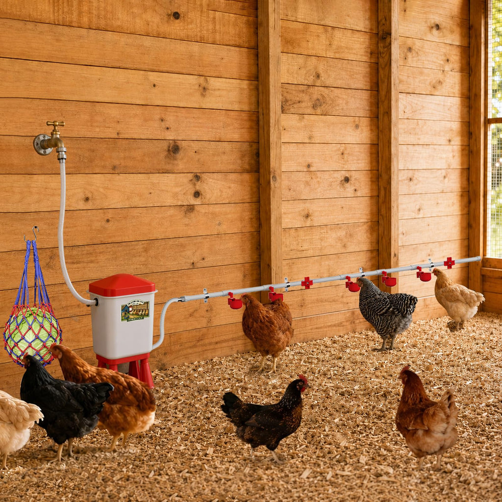 3 Gallon Automatic Chicken Waterer with 8 Cups and 8 Nipples X647538