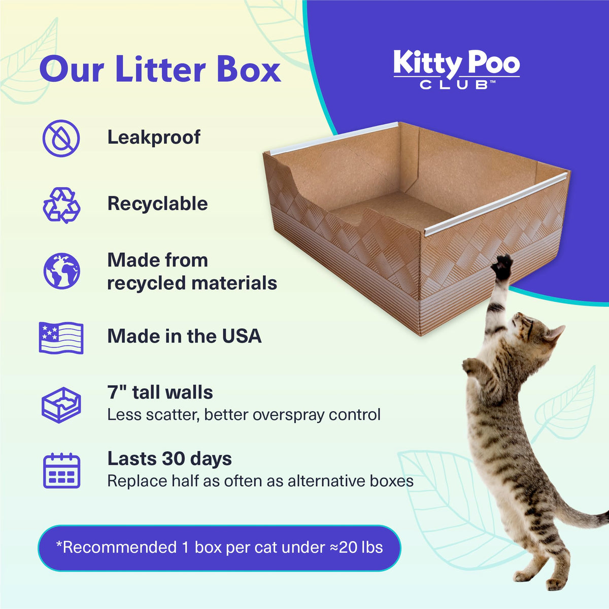 Disposable Cat Litter Box 2-Pack X10808