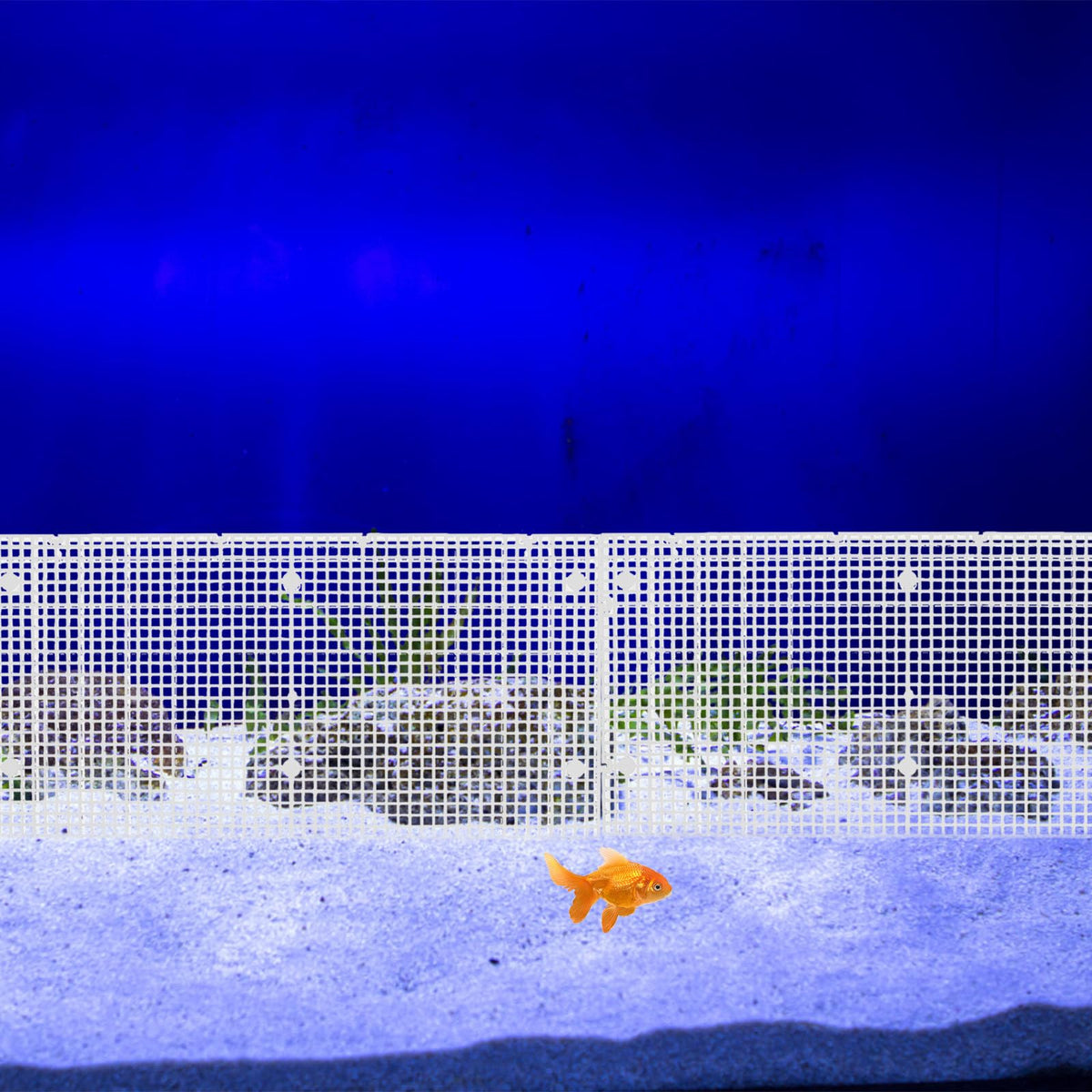 4pcs Cuttable Plastic Aquarium Tank Dividers with Suction Cups Y476406