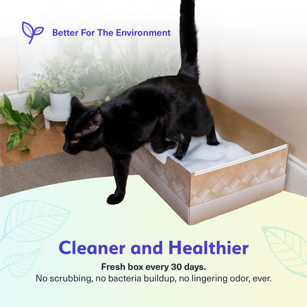 Disposable Cat Litter Box 2-Pack X10808