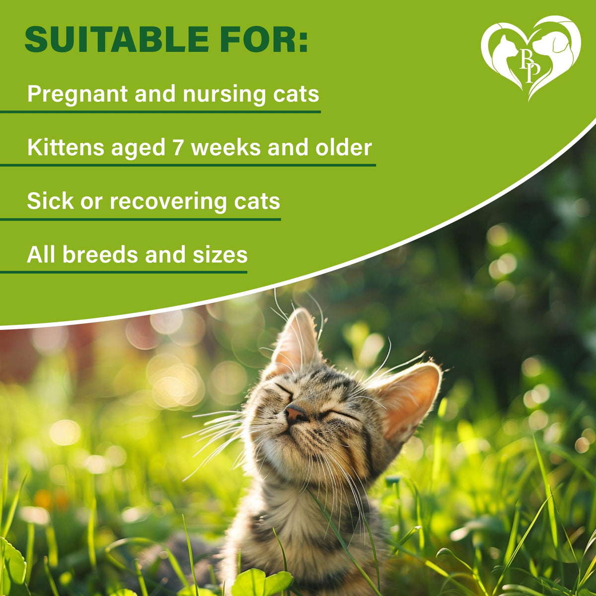 Natural Flea & Tick Collar for Cats 1 Pack R8926