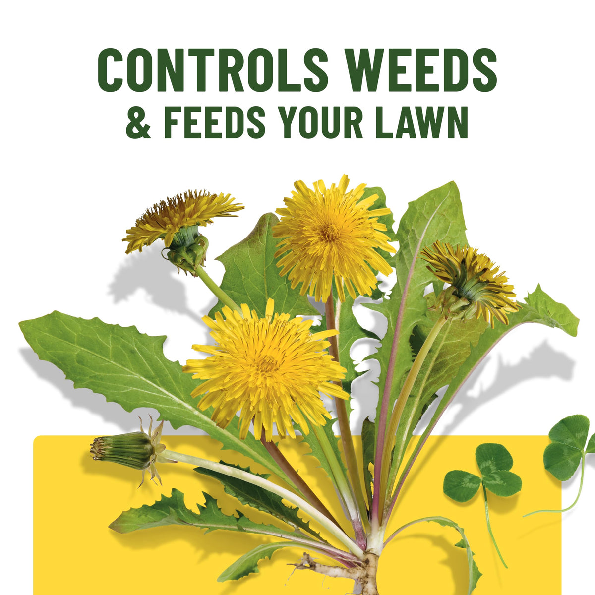 Liquid Lawn Food Plus Weed Control 32 fl. oz. N27852