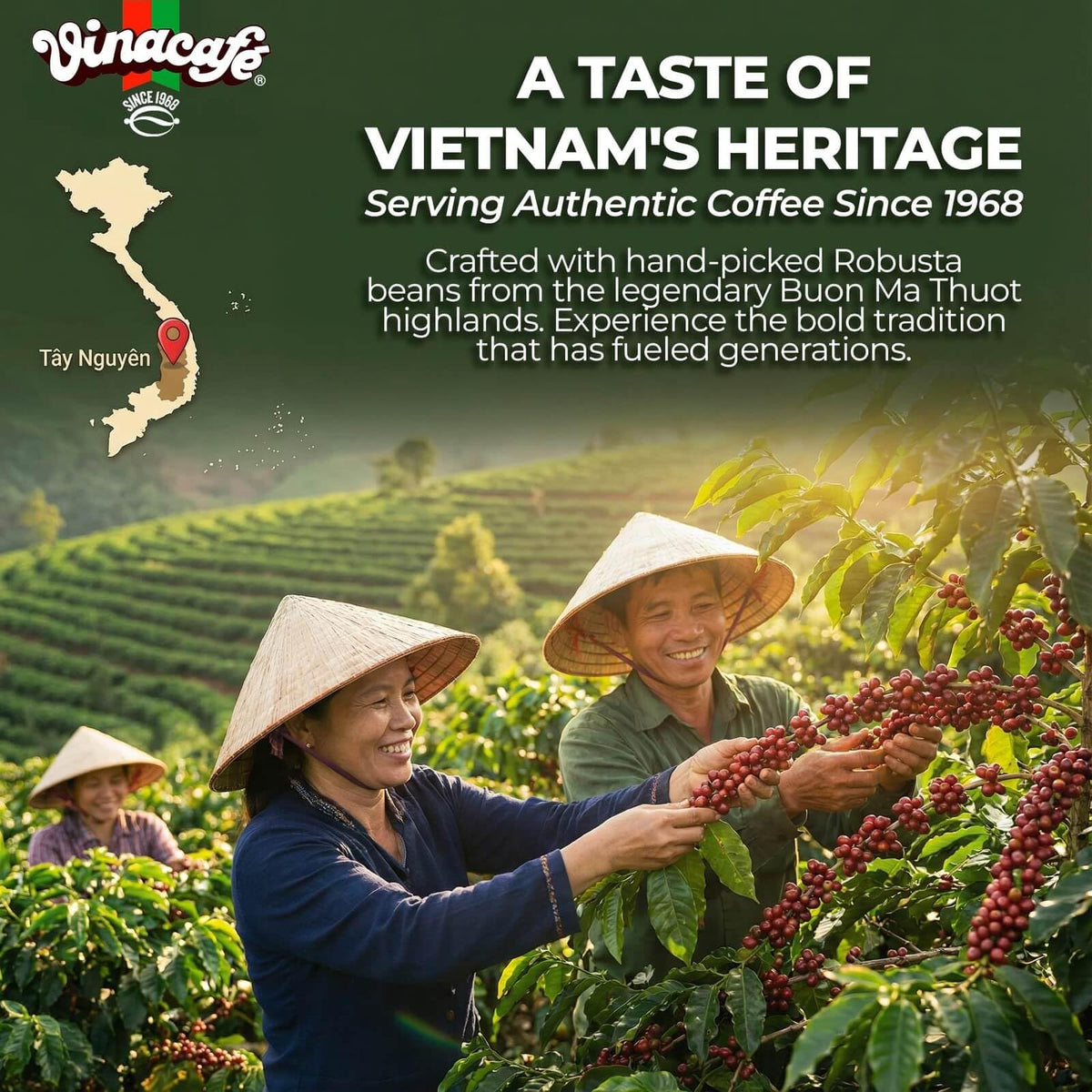 Instant Coffee Mix 3 in 1 G39225
