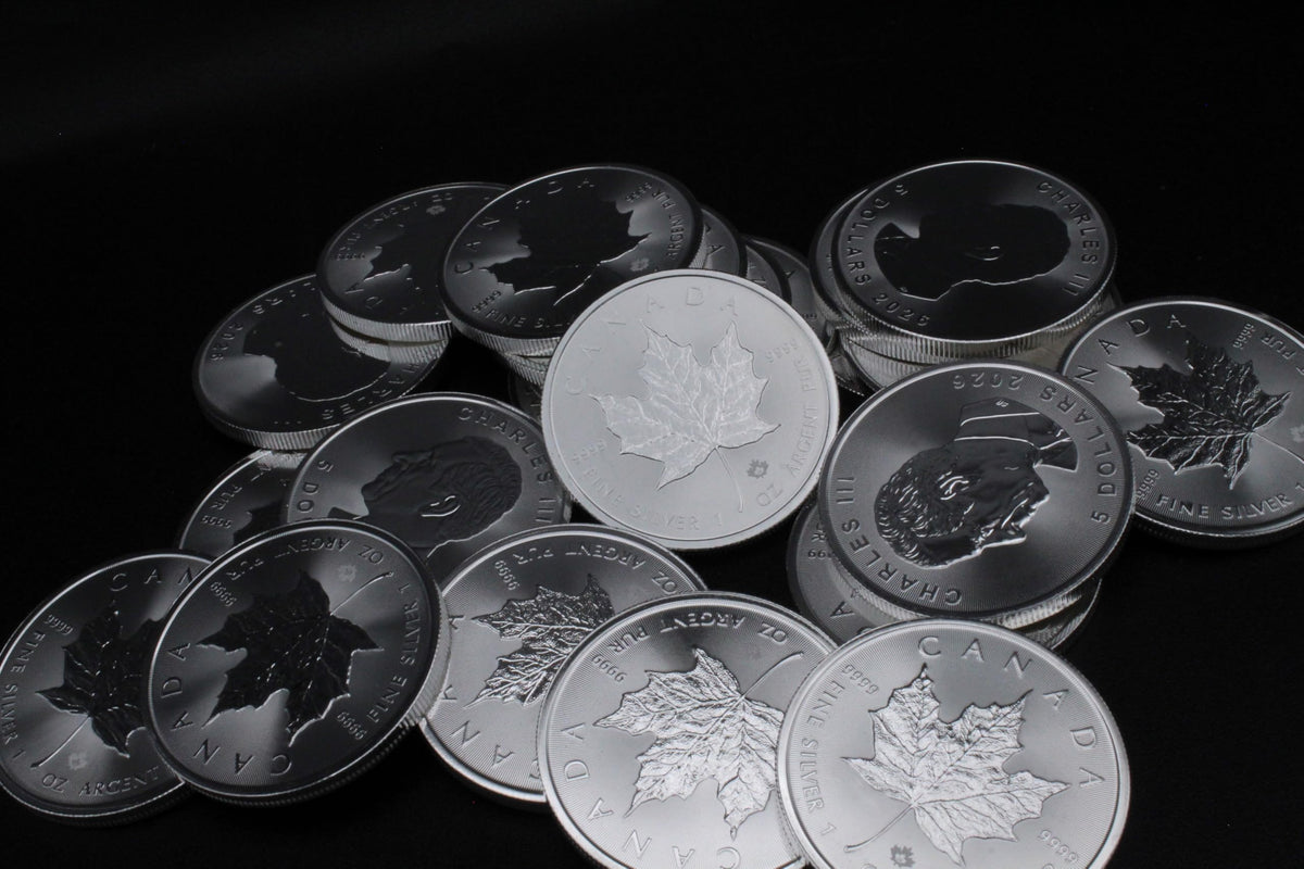 1 oz Canadian Maple Leaf Silver Coin N921055