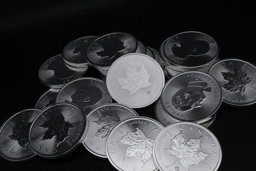 1 oz Canadian Maple Leaf Silver Coin N921055