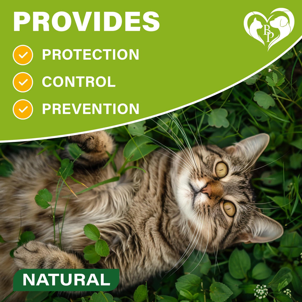 Natural Flea & Tick Collar for Cats 1 Pack R8926