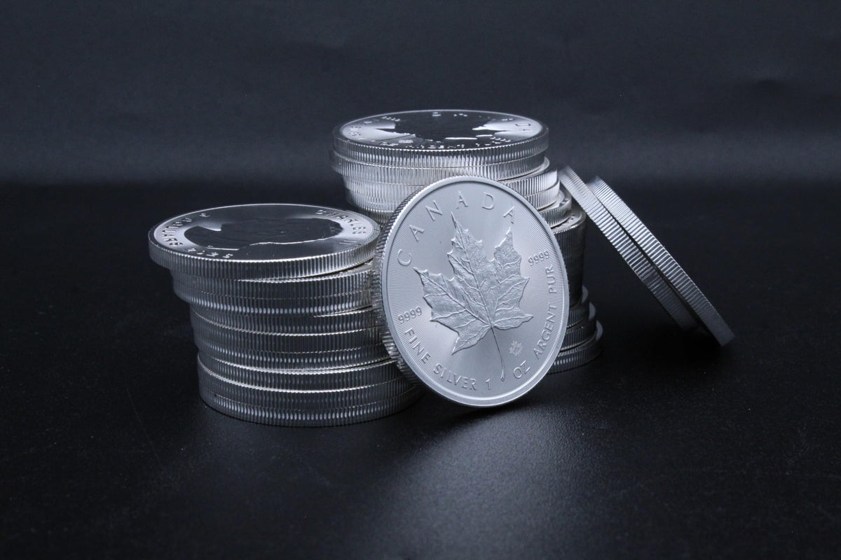 1 oz Canadian Maple Leaf Silver Coin N921055