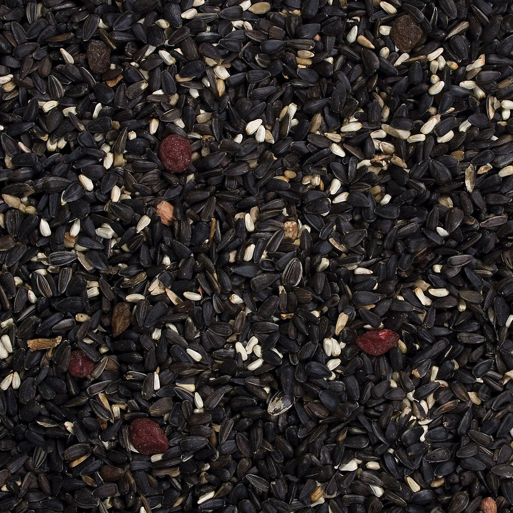 Songbird Food, 20 lb C368533