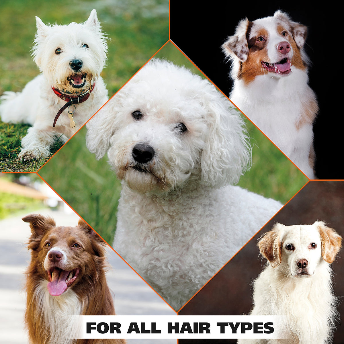 White Pear Dog Shampoo 24 oz Q6089